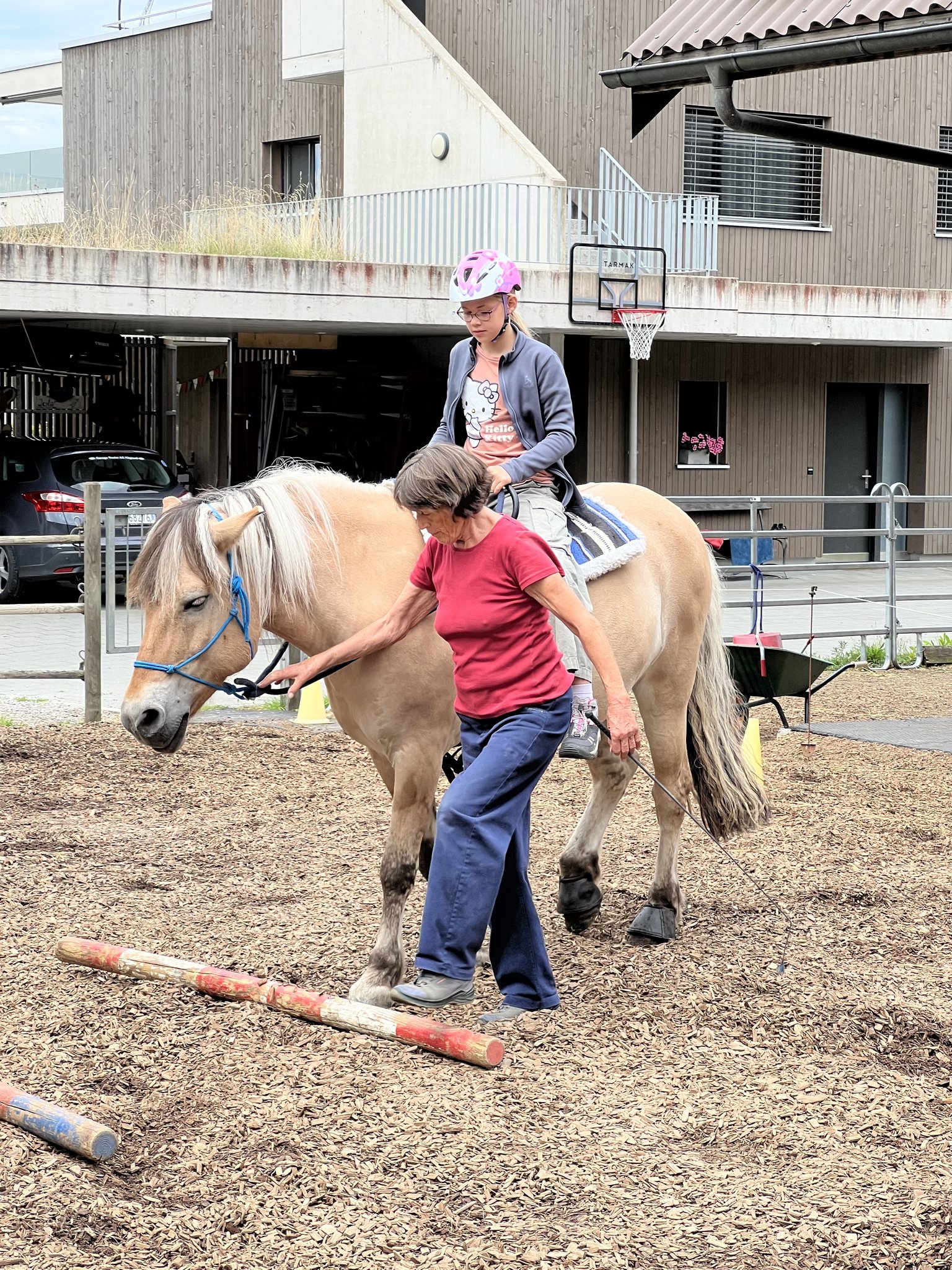 Pony reiten