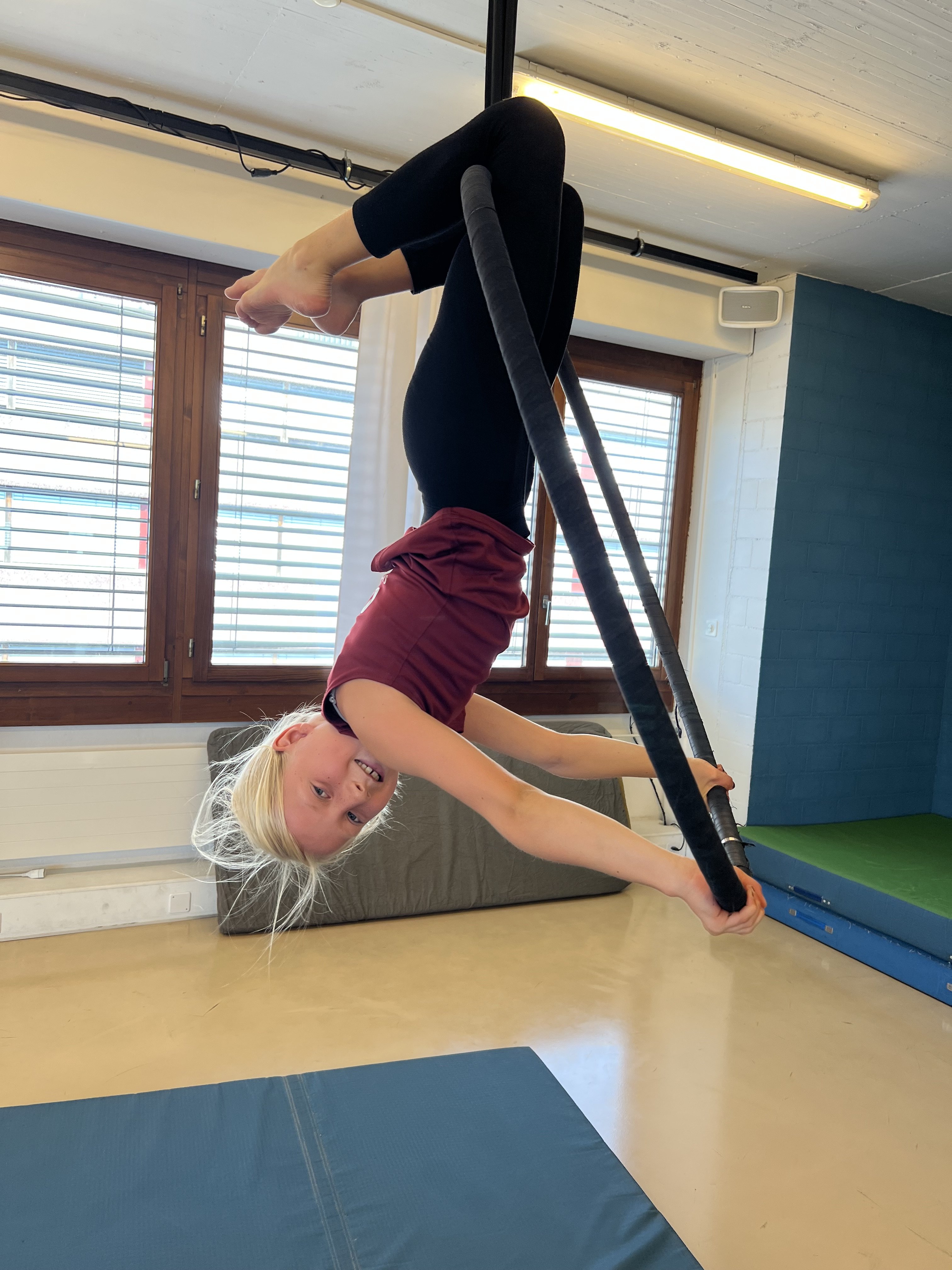 Aerial Circus