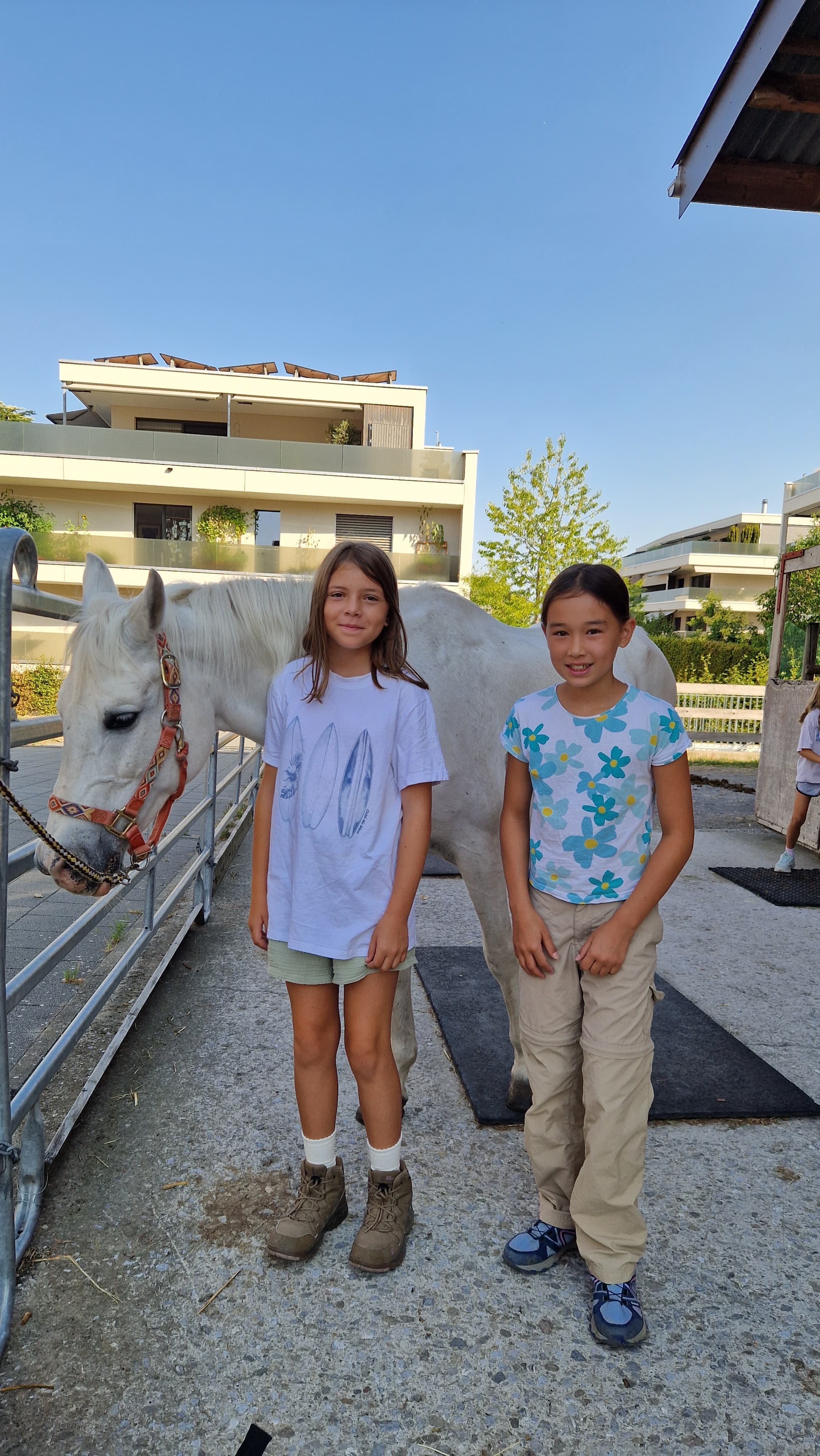 Auf dem Ponyhof