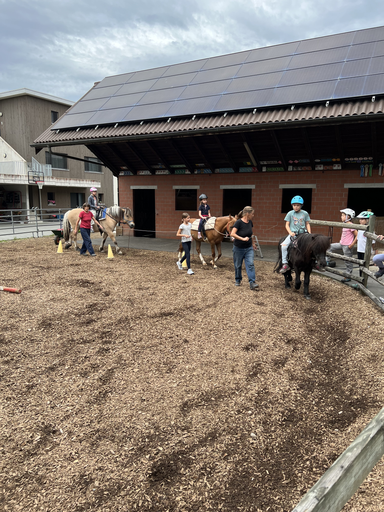 Pony reiten