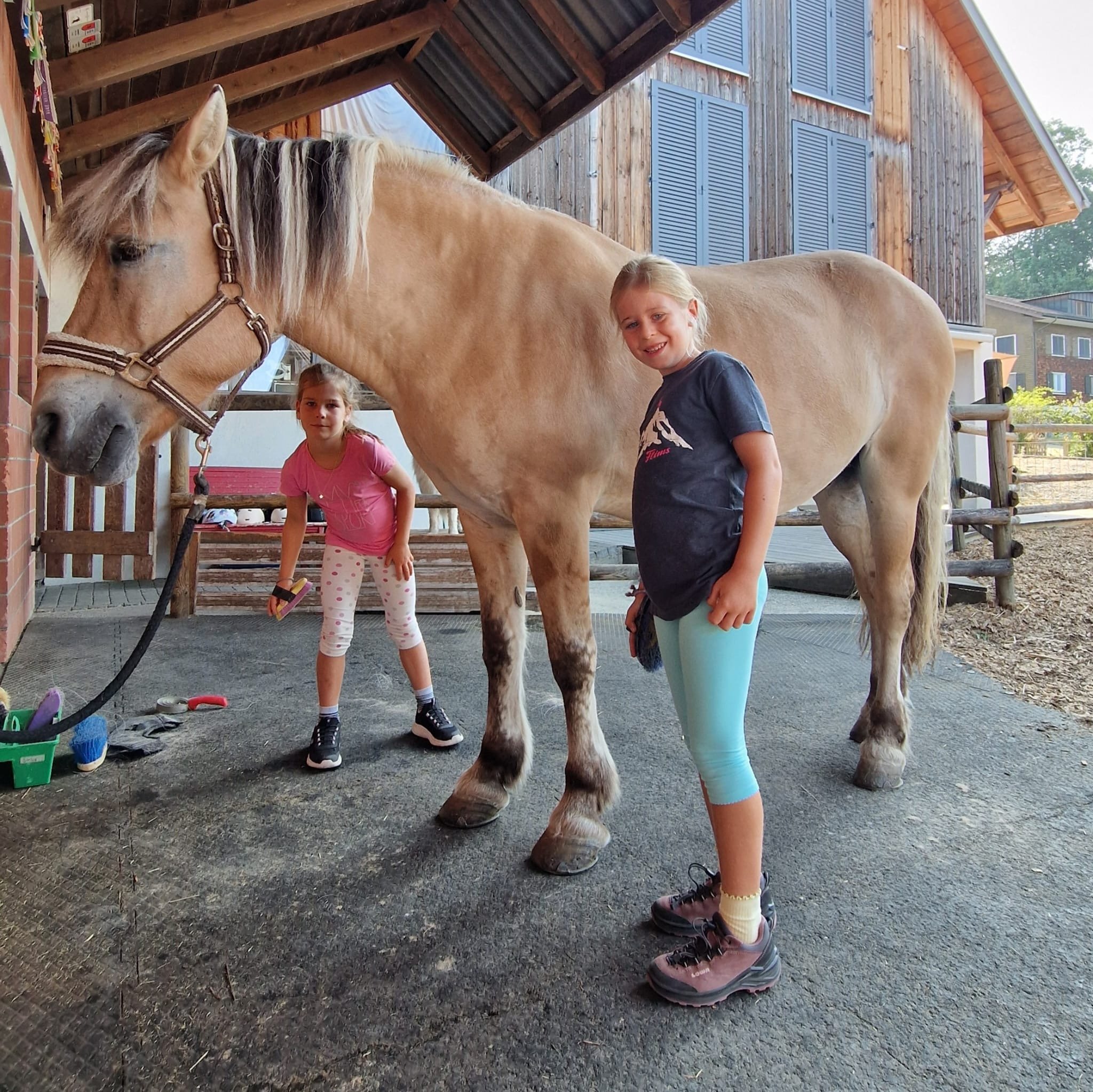 Auf dem Ponyhof