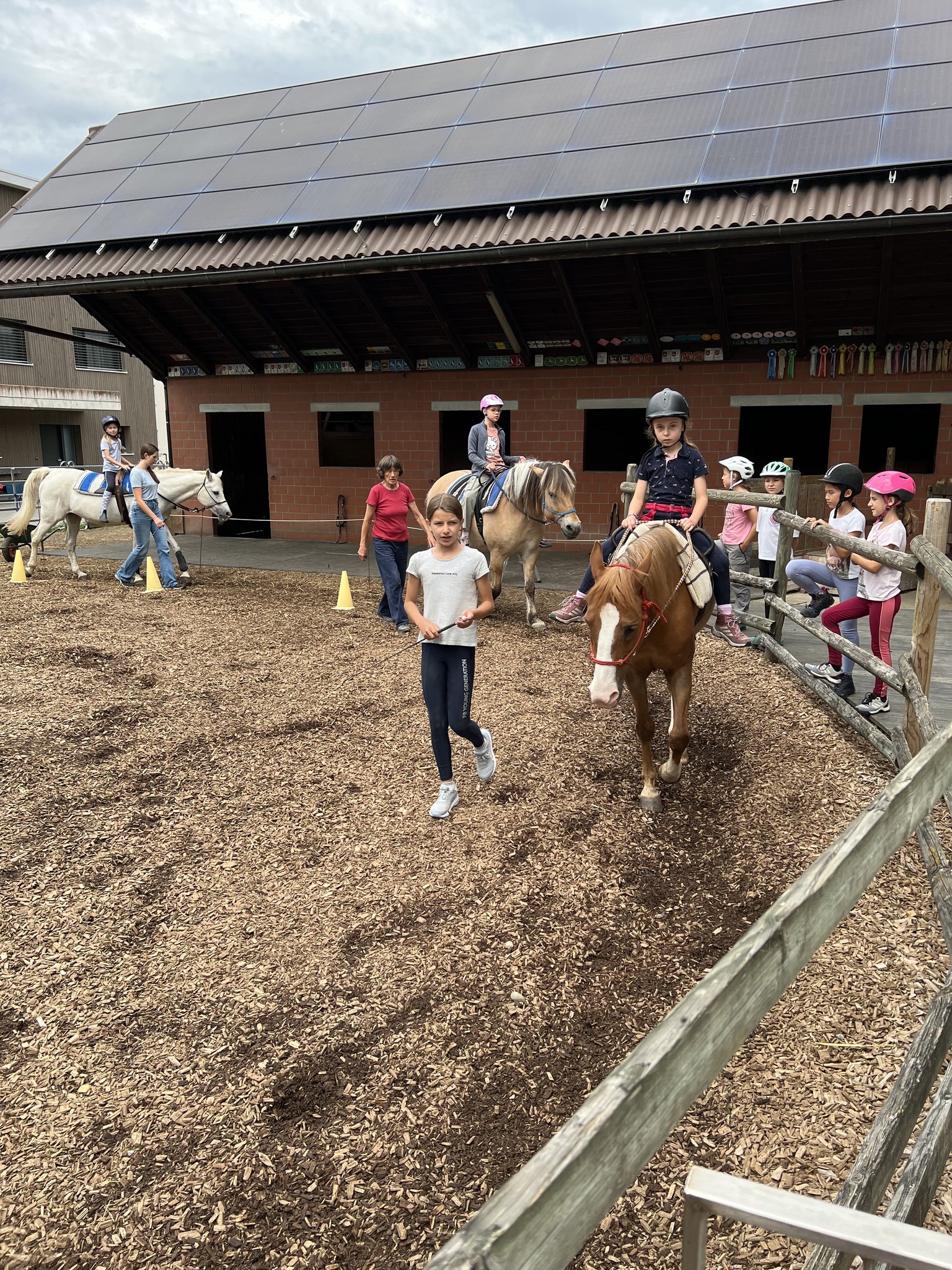 Pony reiten
