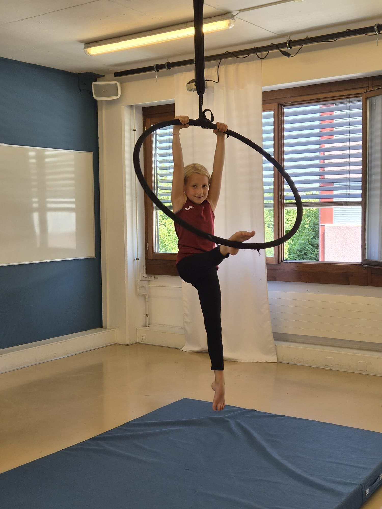 Aerial Circus