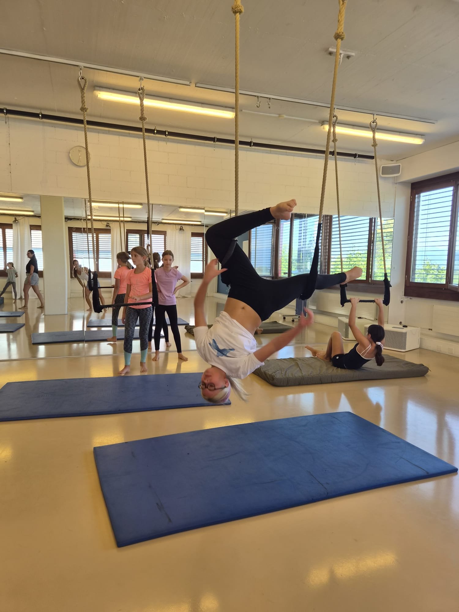 Aerial Circus
