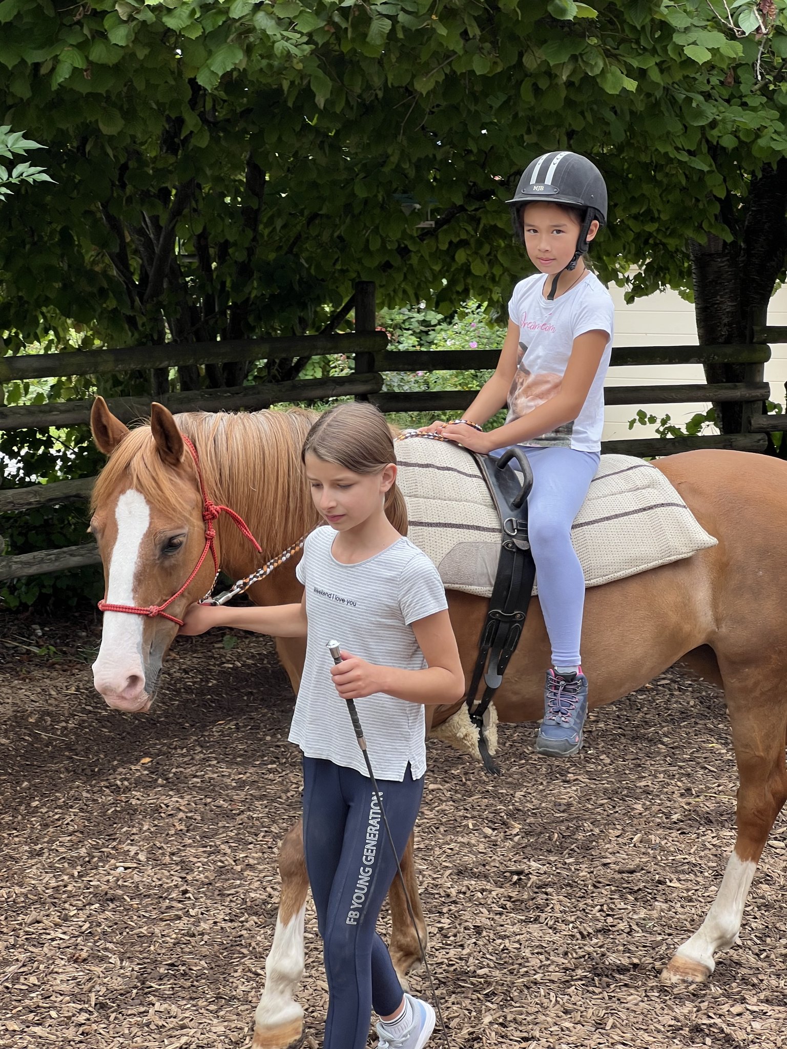 Pony reiten