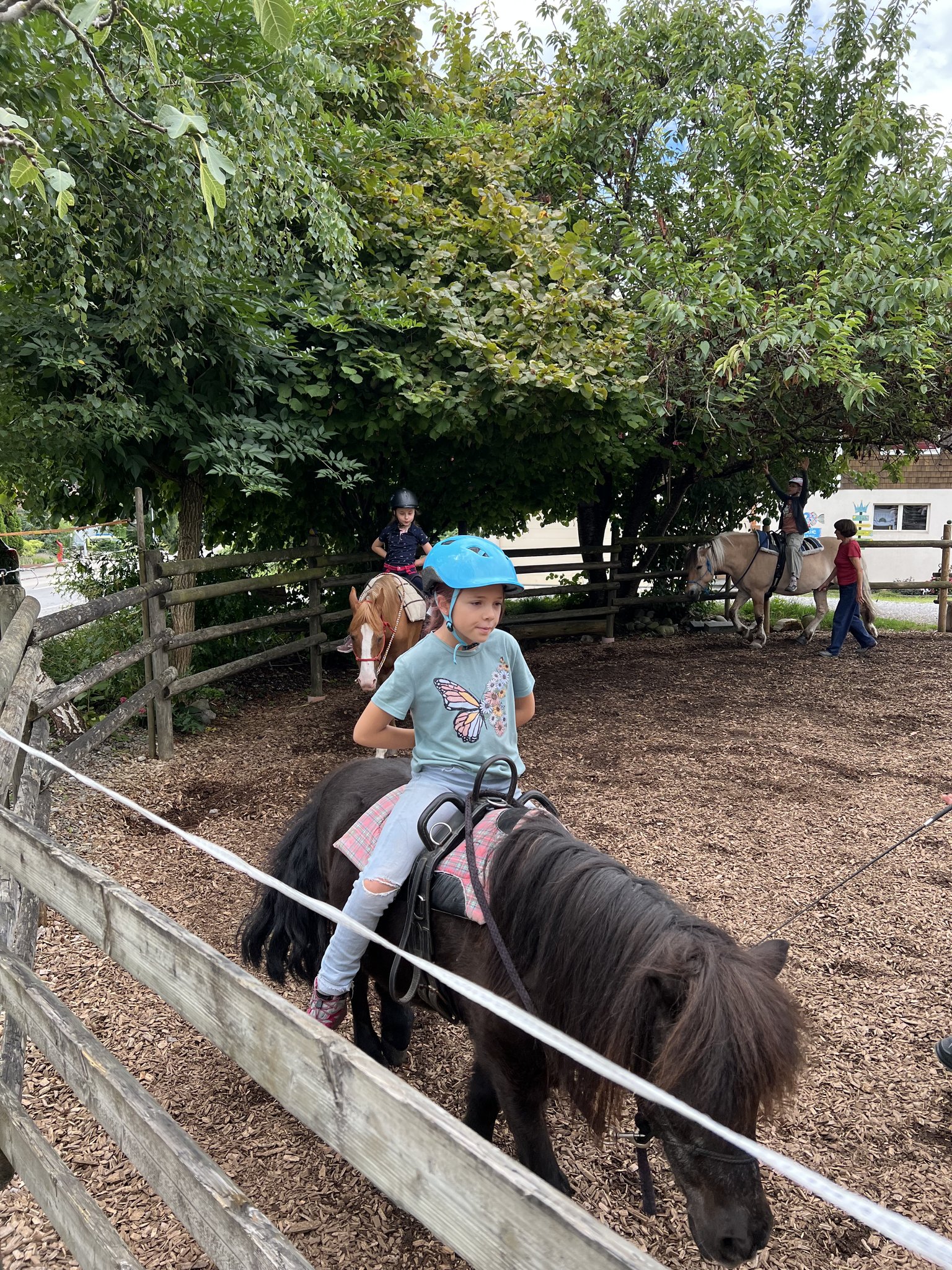 Pony reiten