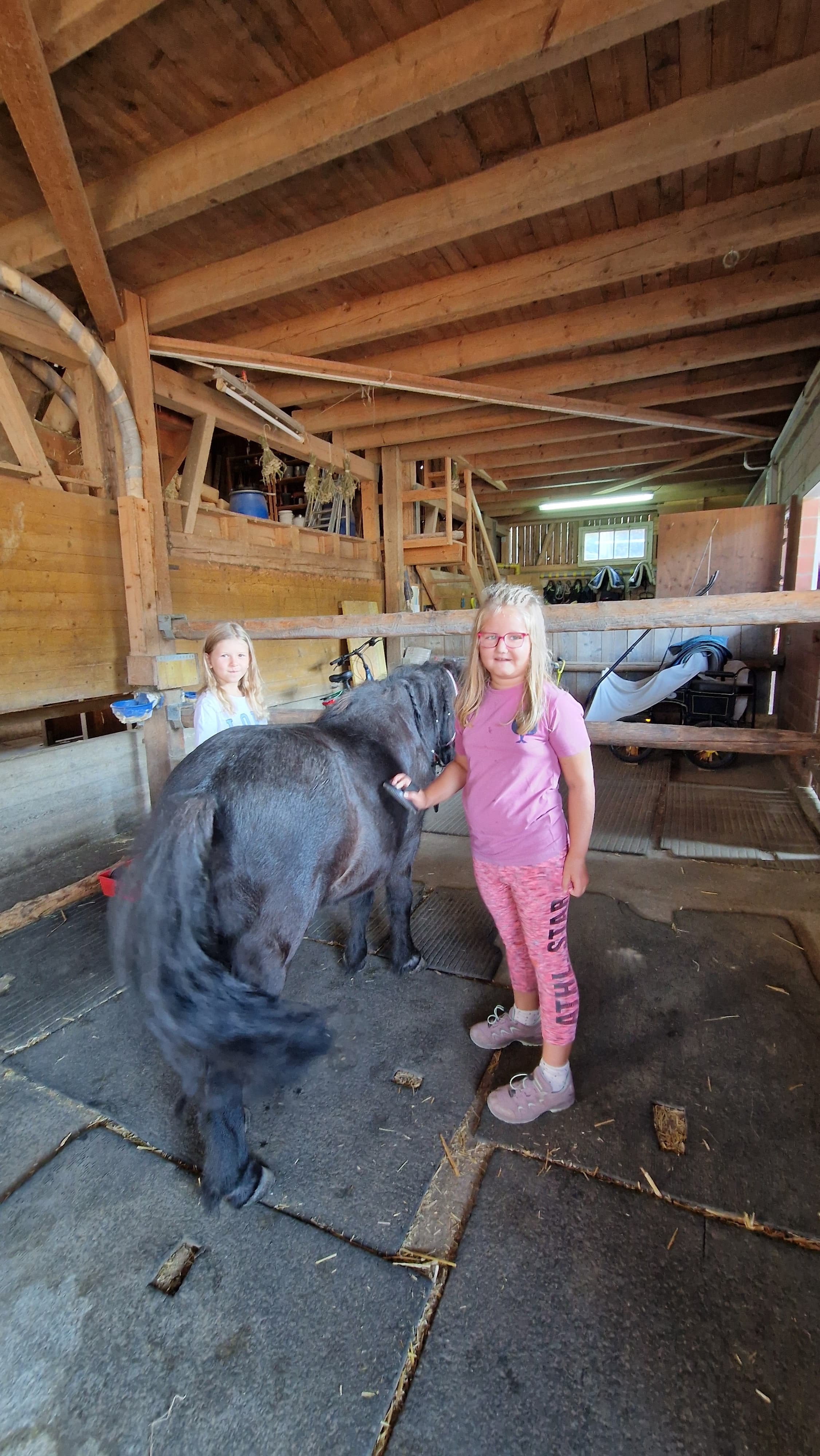 Pony reiten