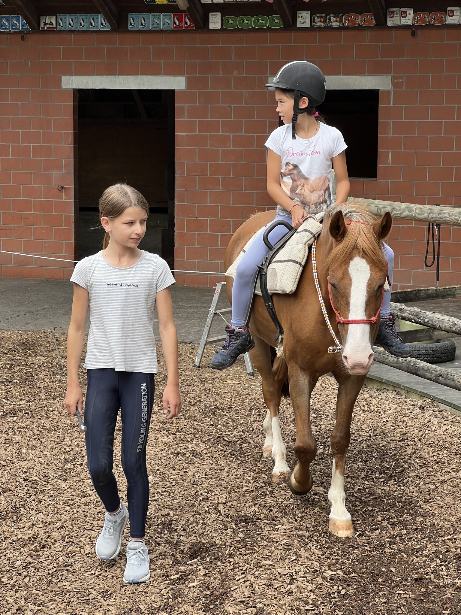 Pony reiten