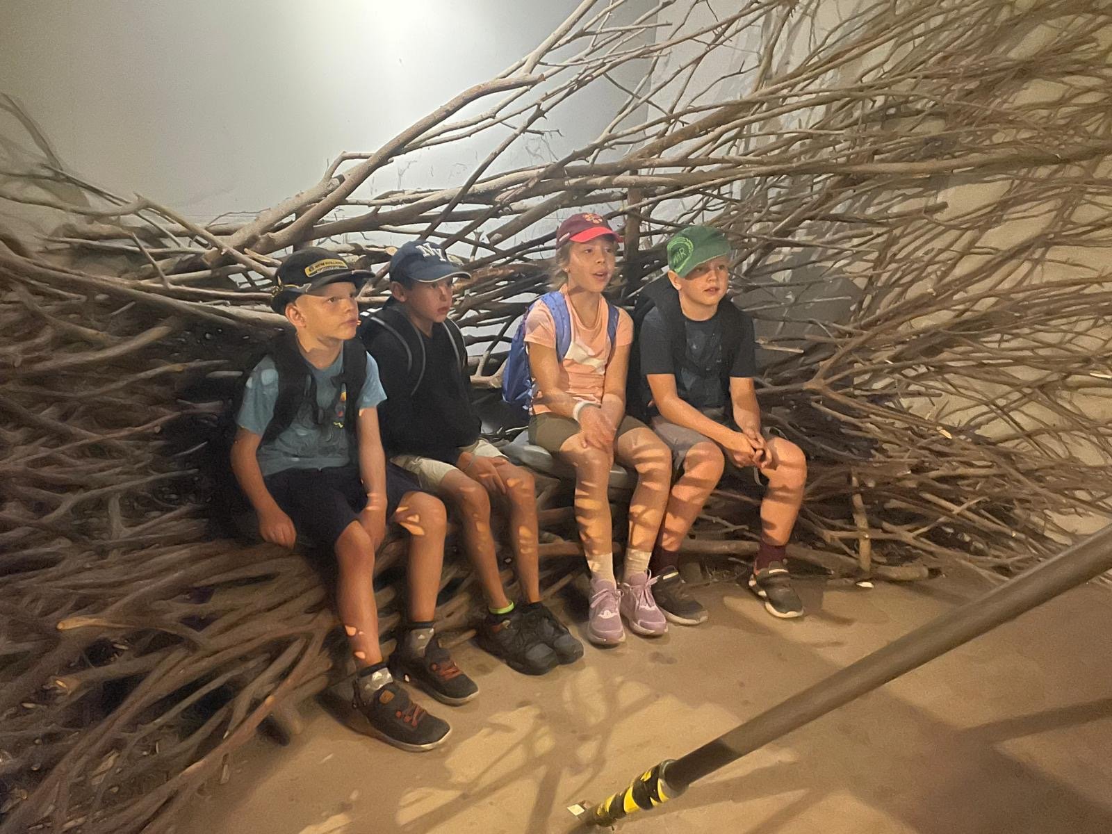 Besuch Tierpark Goldau