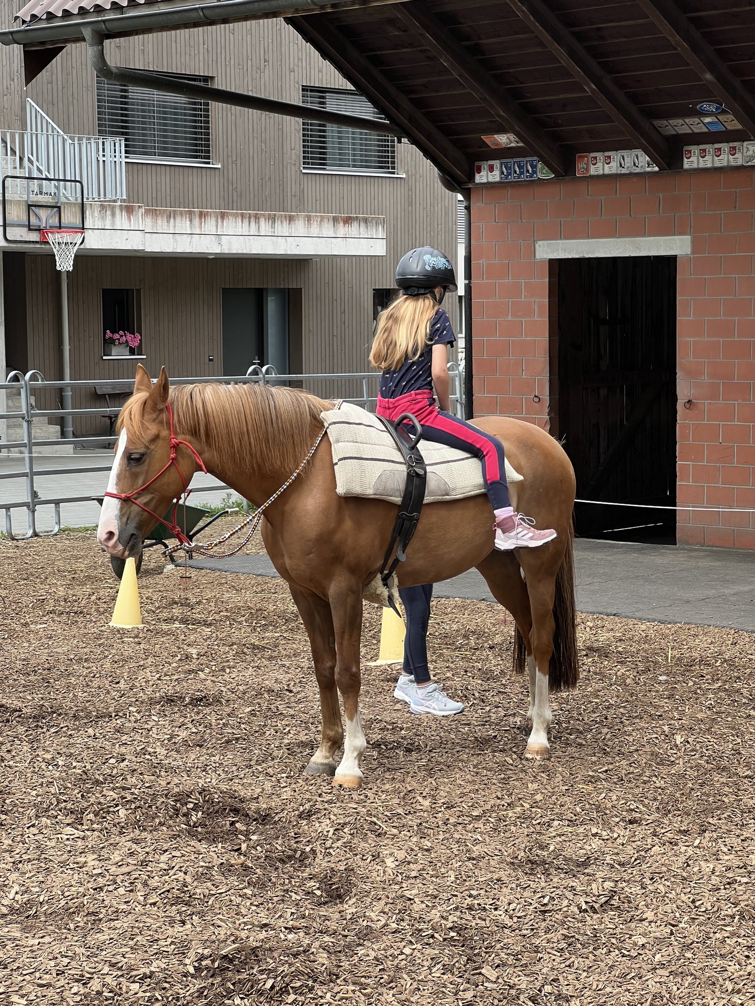 Pony reiten