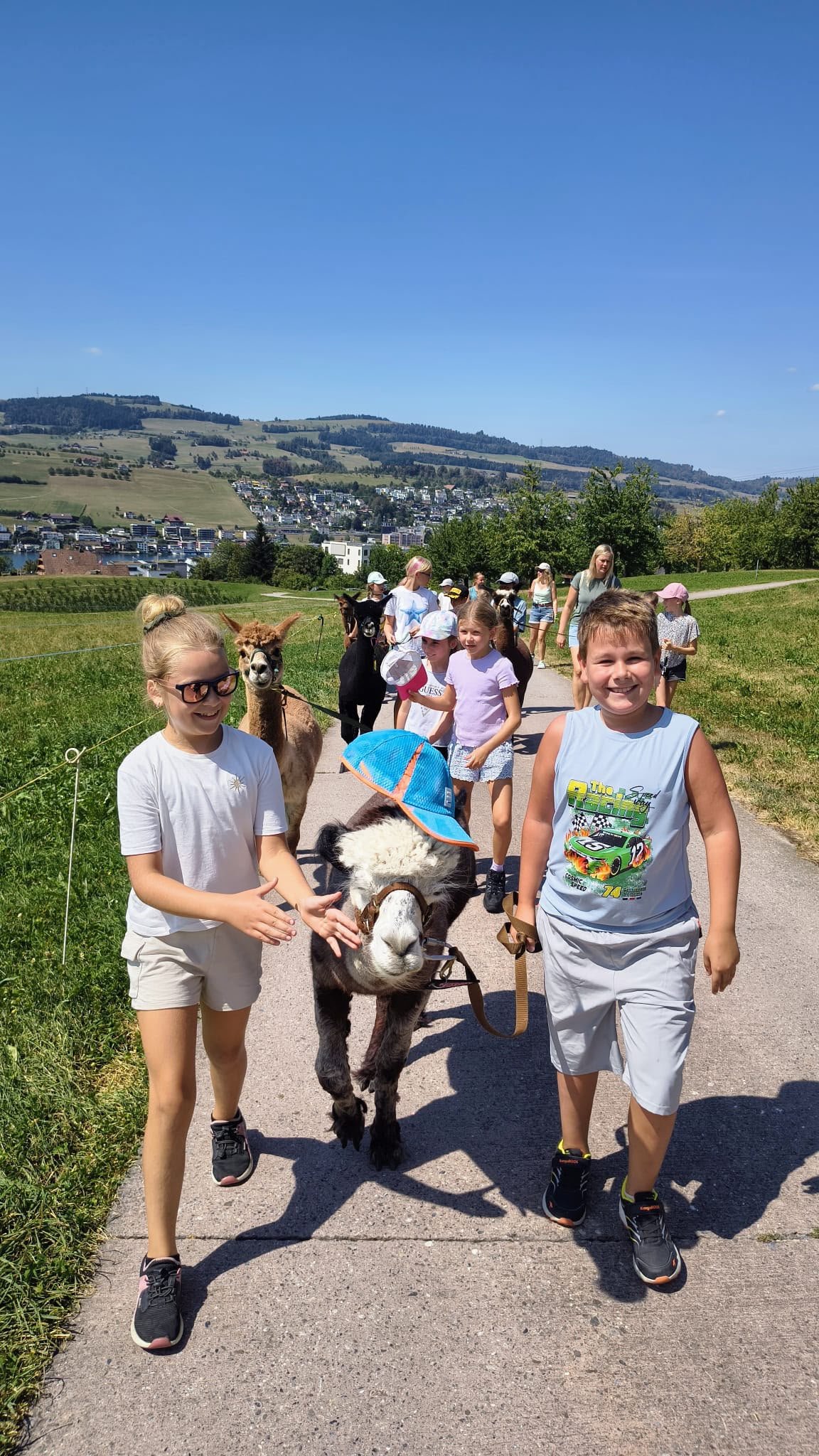 Spaziergang mit den Alpakas