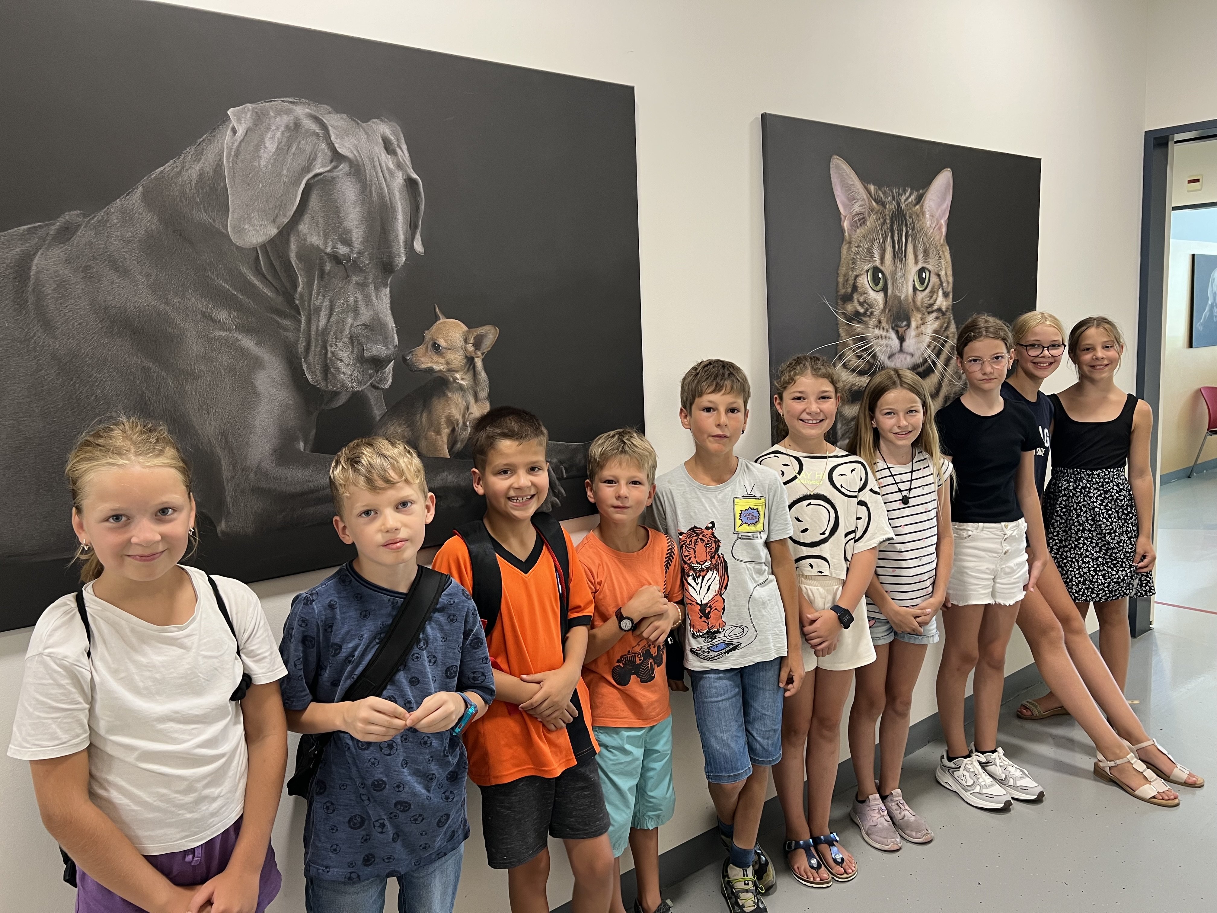 Besuch in der Tierklinik