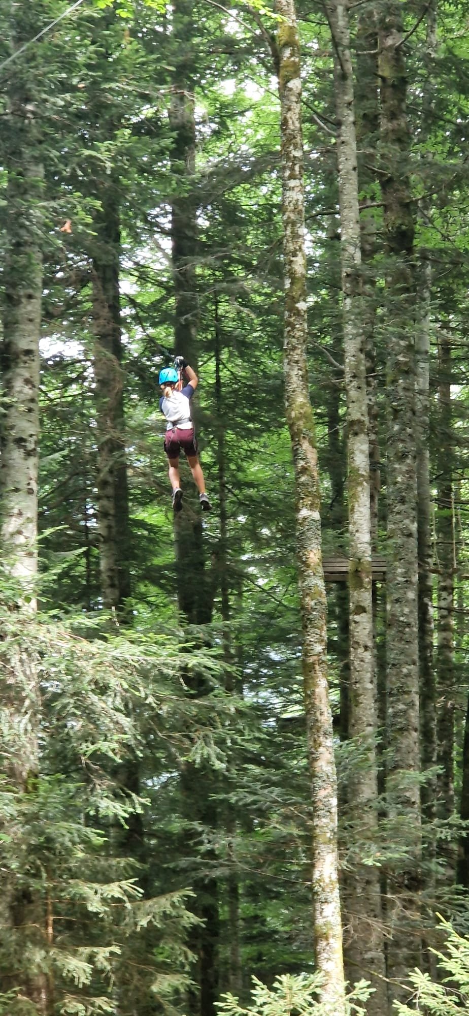 Besuch im Seilpark Melchsee Frutt