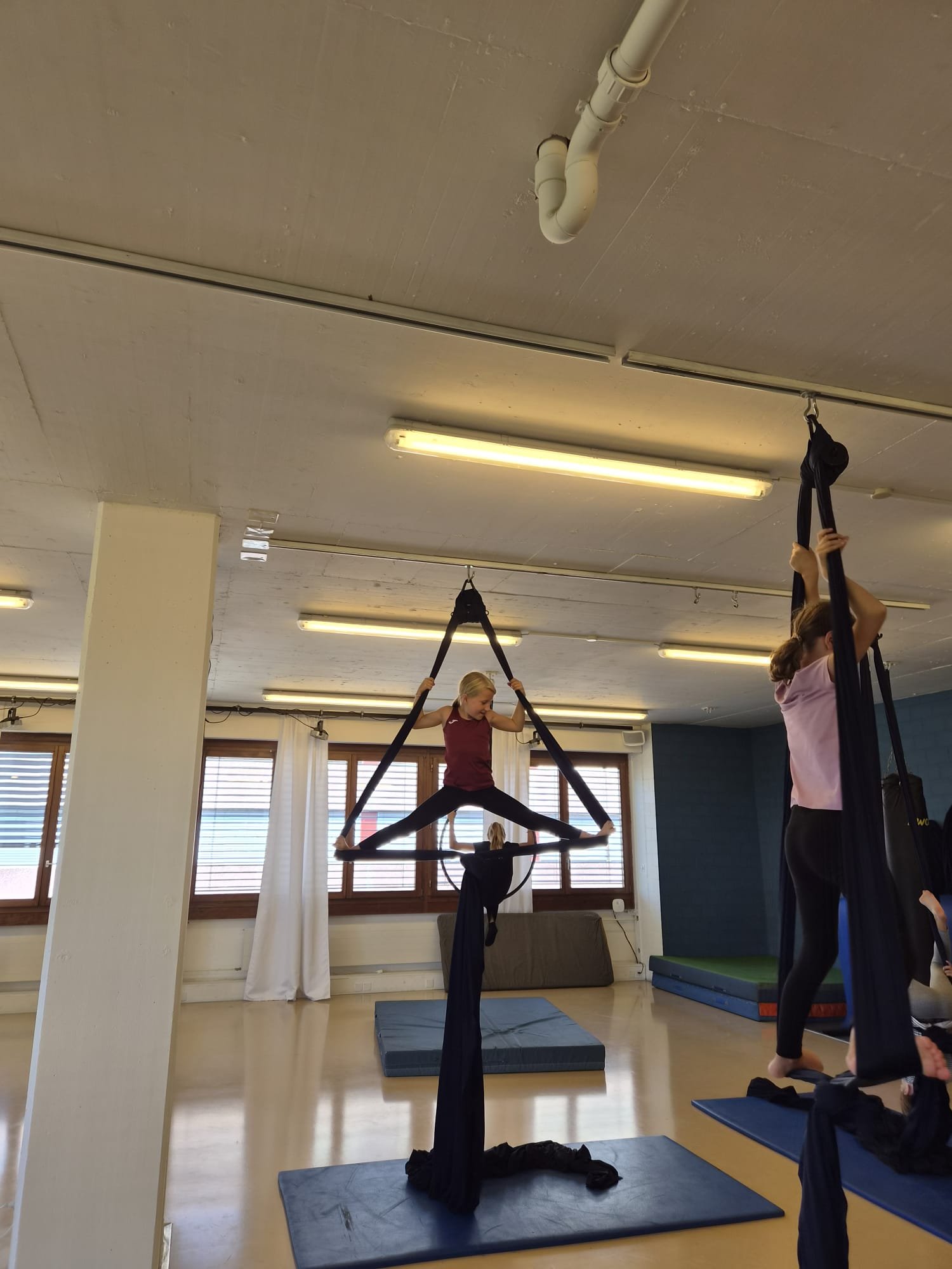 Aerial Circus